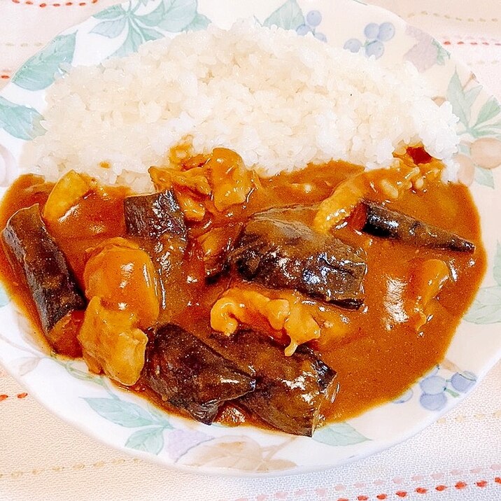 一人分☆揚げなすと鶏肉のカレー